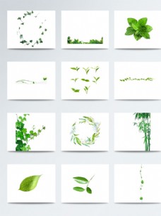 绿叶植物底纹