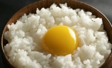 粮食小册营养主食米饭