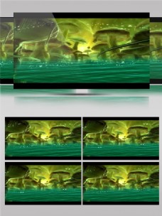 绿色光束蘑菇高清视频素材