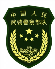 新中式中国人民武装警察部队16式臂章