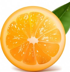 绿色叶子橙子