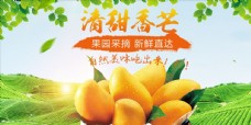 淘宝天猫京东水果橙子海报