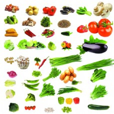 绿色蔬菜各类蔬菜