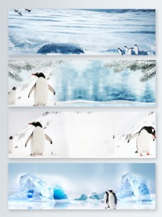 冬天雪景简约冰川清新冬季雪天企鹅banner背景