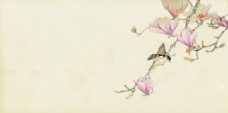 彩绘米色花枝背景设计