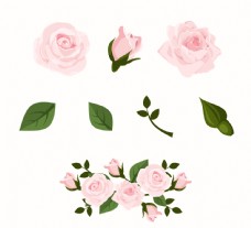 花叶4款粉色玫瑰花和4款叶子矢量图