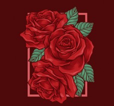 玫红色玫瑰3朵红色手绘玫瑰花矢量素材