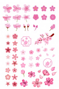 PSD文件各类花朵矢量源文件