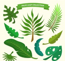 香水9款绿色棕榈树叶设计矢量图