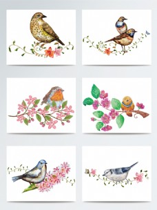 春季小清新水彩桃花与鸟