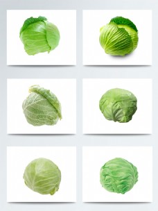 绿色蔬菜六款绿色包菜元素设计