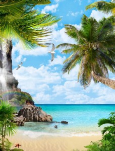 度假海滩椰子树