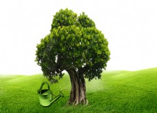 绿树卡通绿色大树草坪png元素