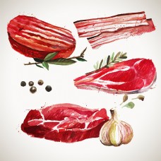 手绘新鲜的肉类插画