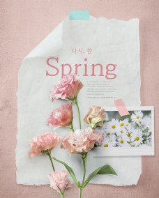春季海报粉色康乃馨春季春天气息唯美海报psd模板