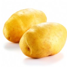 马铃薯长土豆