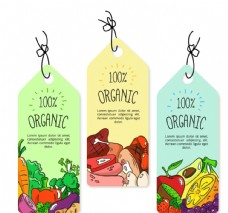 绿色蔬菜彩绘有机食品吊牌