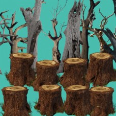 树木腐朽的枯木树枝