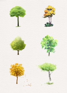 彩绘彩色树木